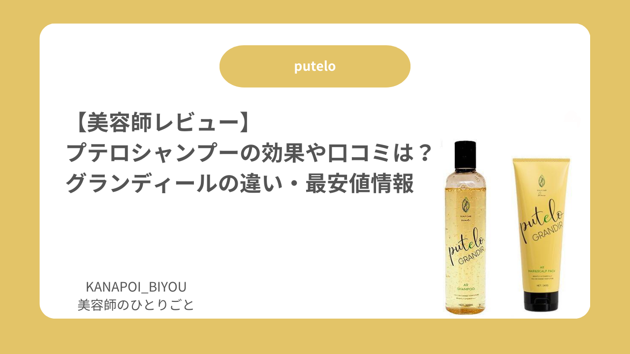 【美容師レビュー】プテロシャンプーの効果や口コミは？｜グランディールの違い・最安値